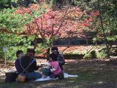 昼食の風景