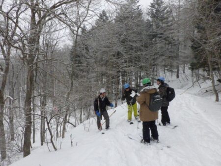 研究林内林道を山スキーで移動しながら樹木識別テストをする様子