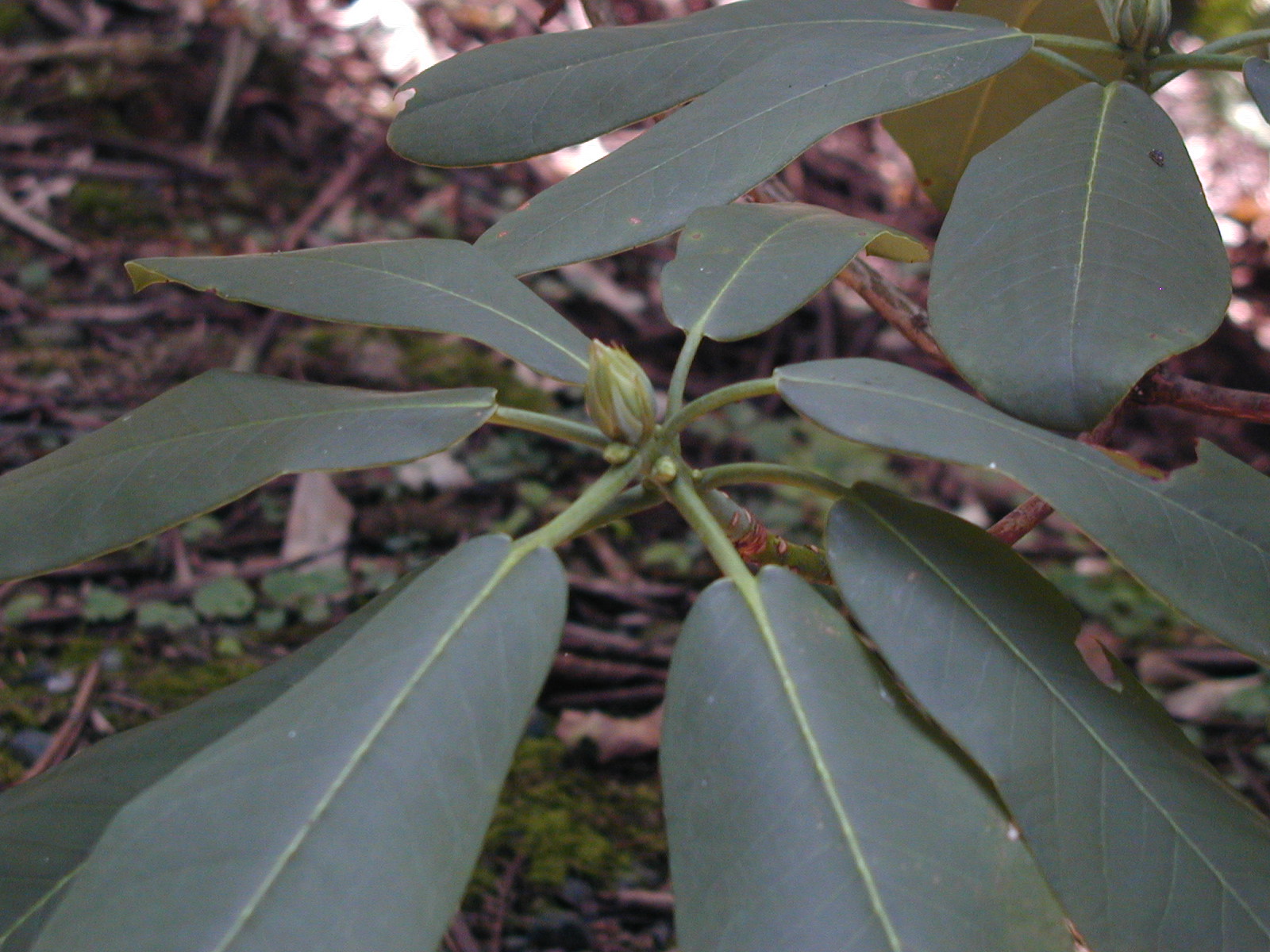 P8160012