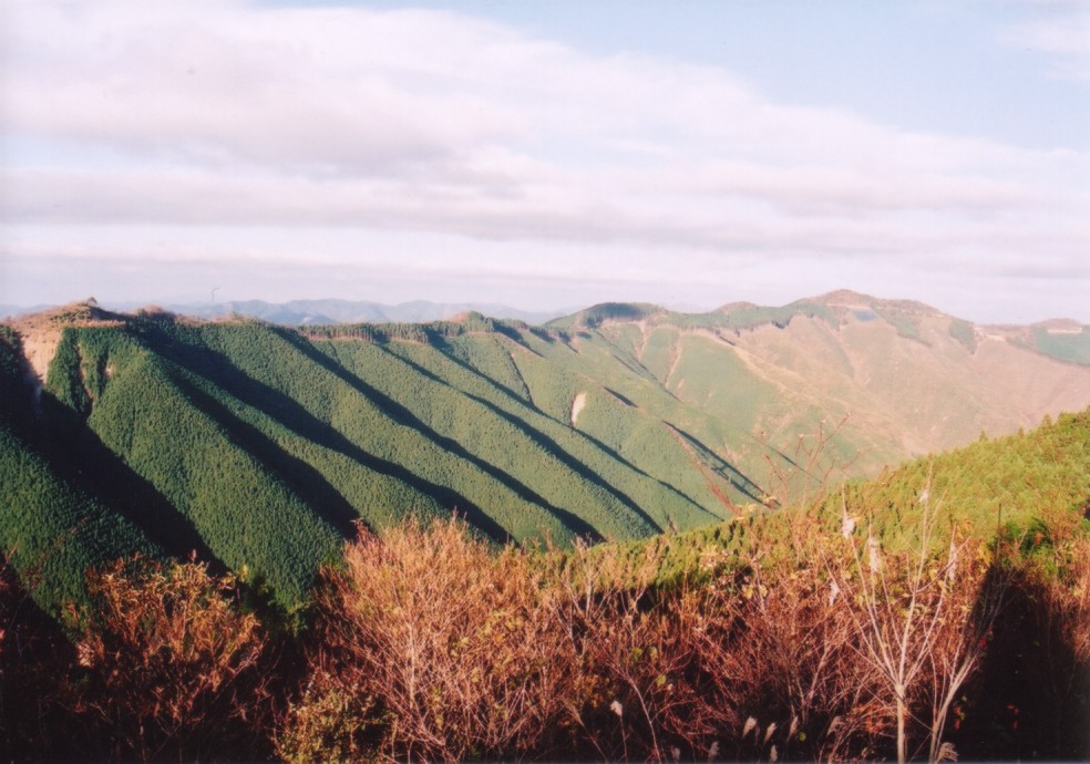 tokuchi001