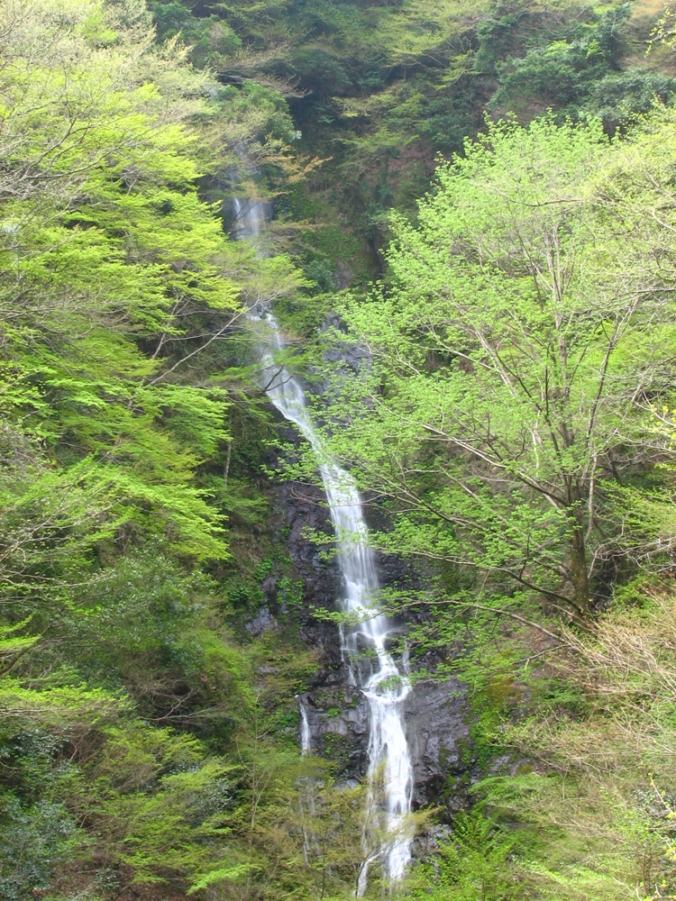 wakayama17-4