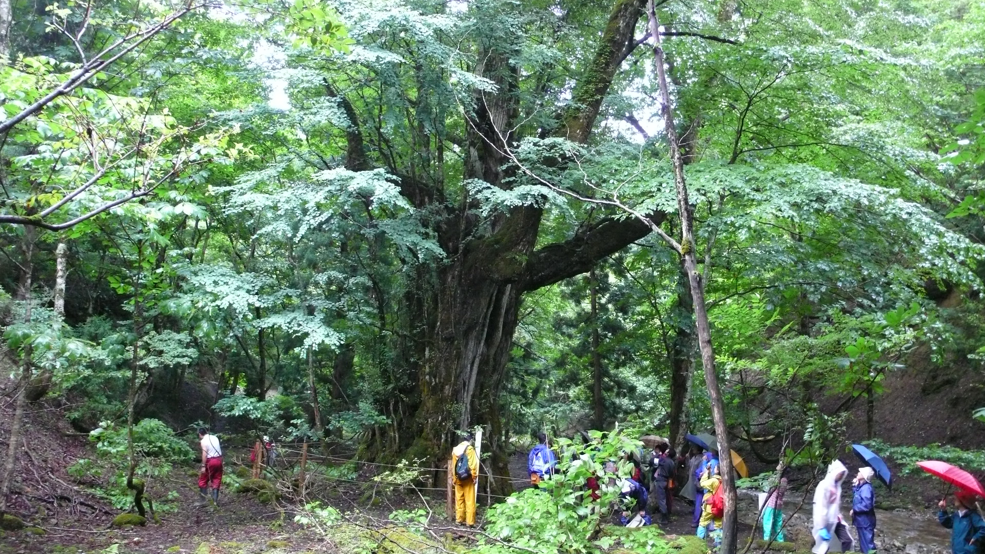 P1000568