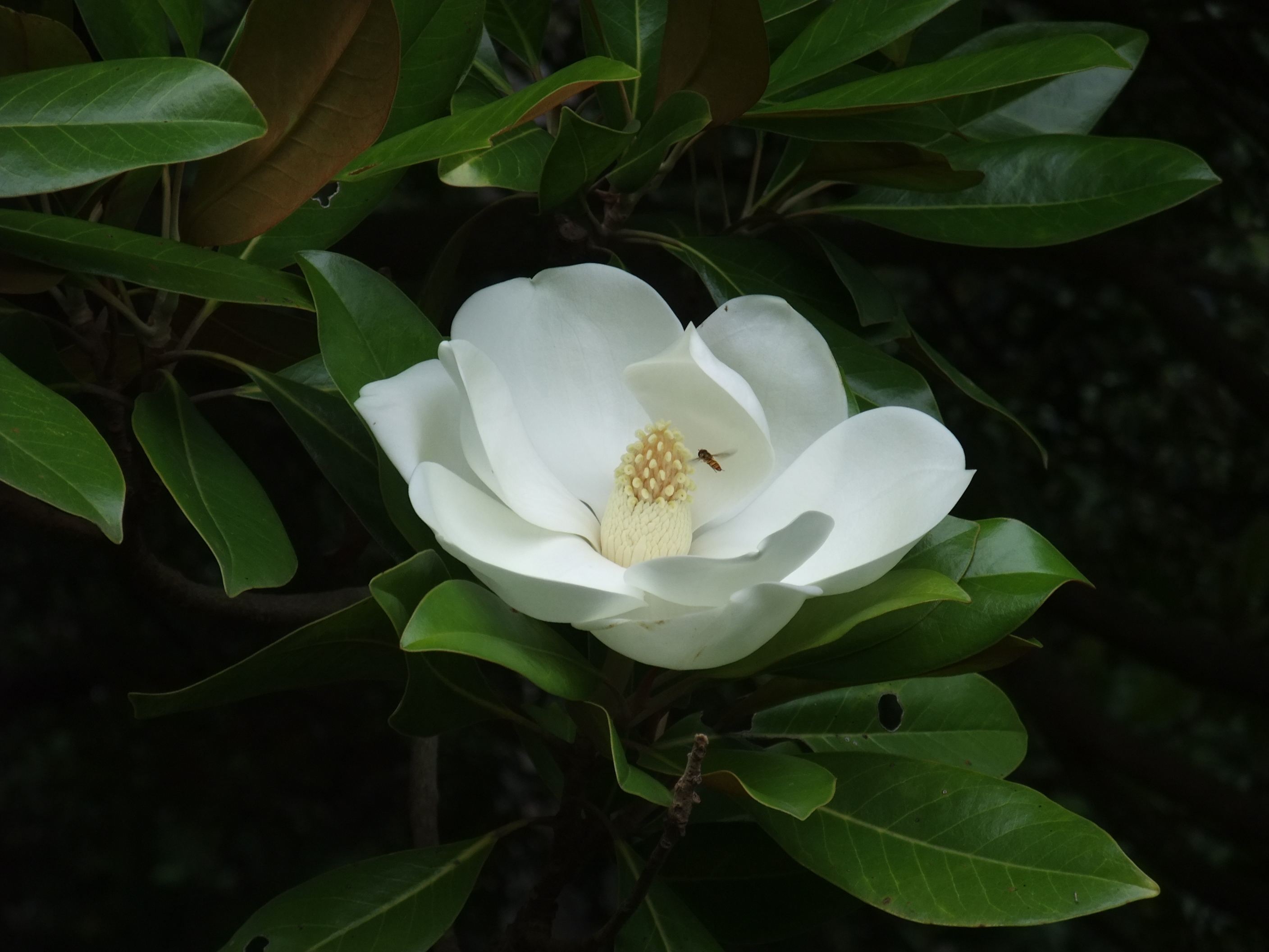 tokuyama18-2