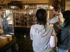 標本館で展示物についての説明