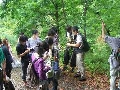 森林植物学実習(京都府立大学生命環境学部森林科学科) 