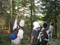 森林公開実習−近畿地方の奥山・里山の森林とその特徴−(全国演習林協議会 単位互換)