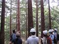 公開森林実習(全国演習林協議会 単位互換)･少人数セミナー｢京都文化を支える森林｣