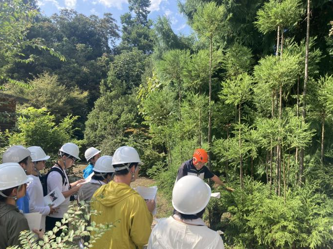 北白川試験地の見学