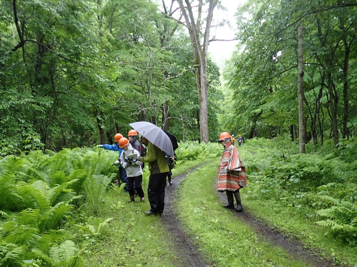 小雨の中花を探す