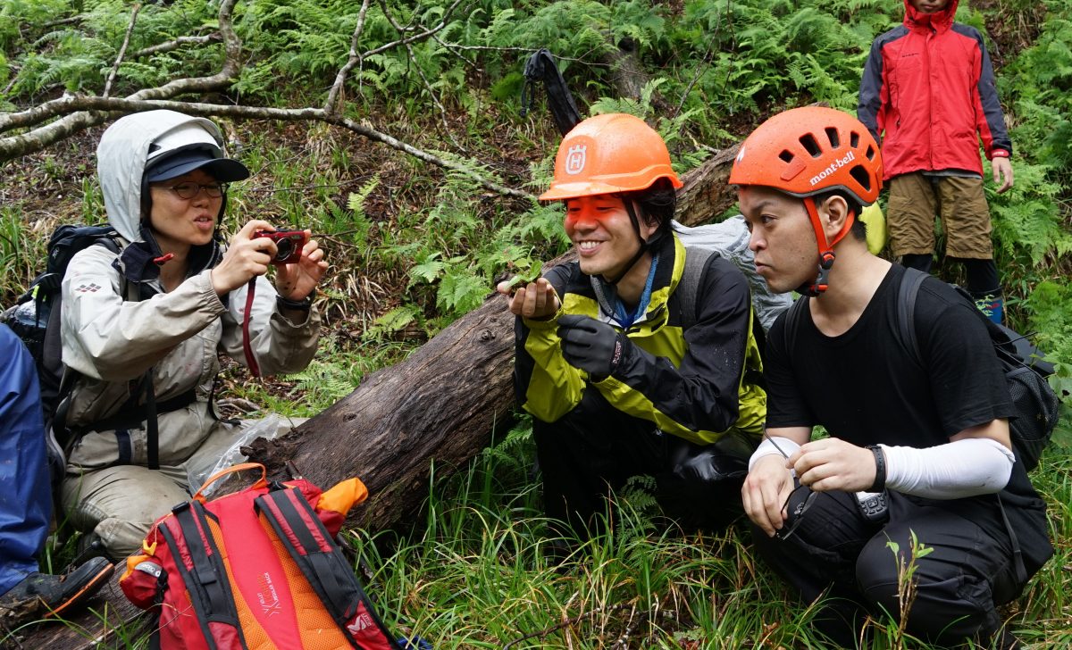 芦生研究林の植物相を保全する／Conservation of plant species in the Ashiu Forest Research Station