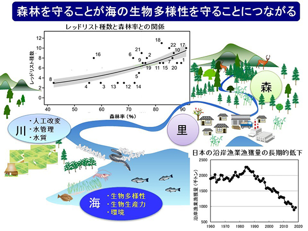 森林を守ることが海の生物多様性を守ることにつながる / Effects of forest cover on richness of threatened fish species in Japan