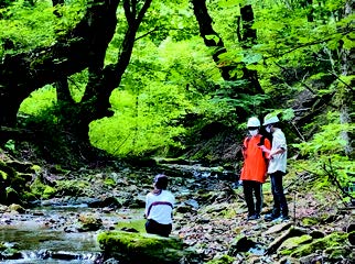 ILASセミナー報告2020「森での感動を科学する」