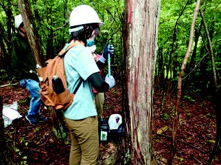 ILASセミナー報告2020「京都の文化を支える森林－地域の智恵と生態学的知見」