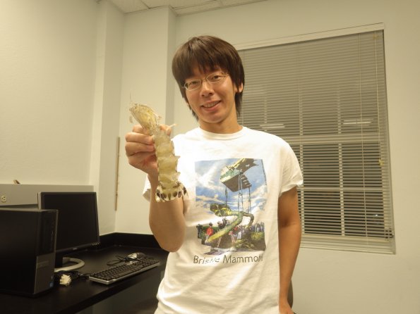 後藤龍太郎助教が日本進化学会 研究奨励賞を受賞