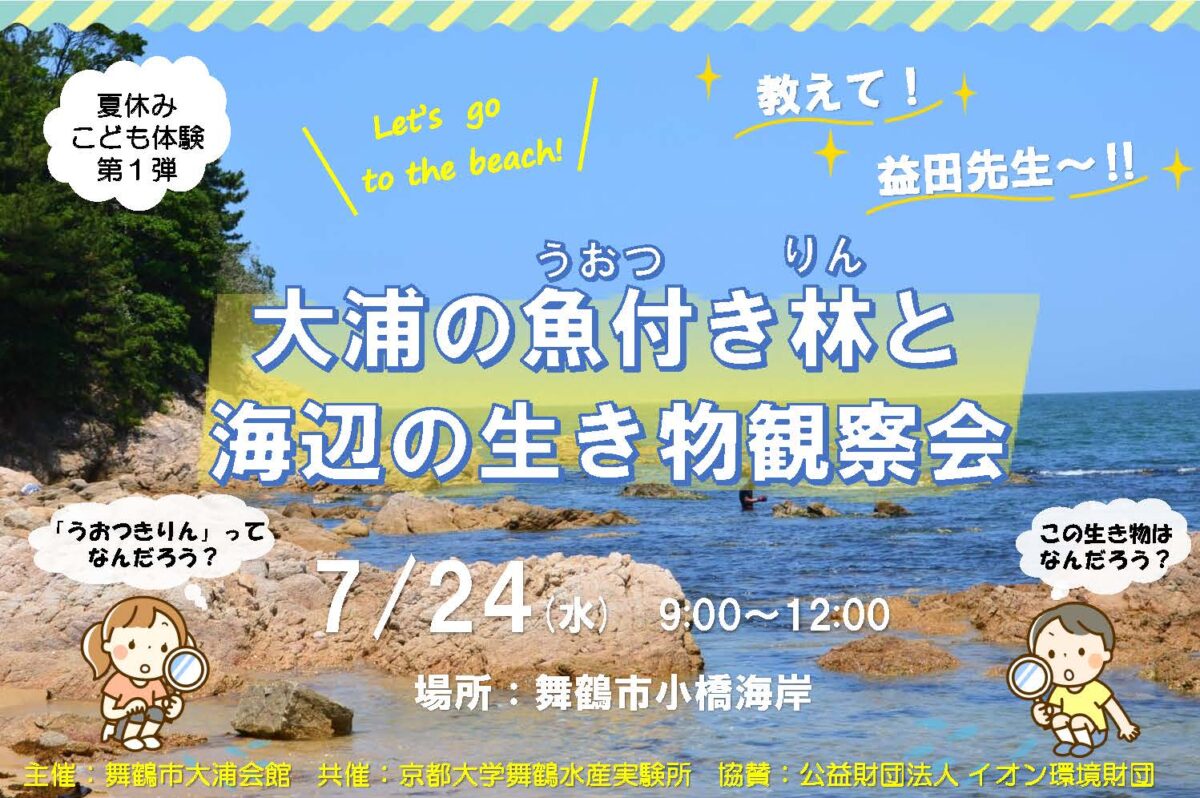 舞鶴市大浦の魚付き林と海辺の生き物観察会