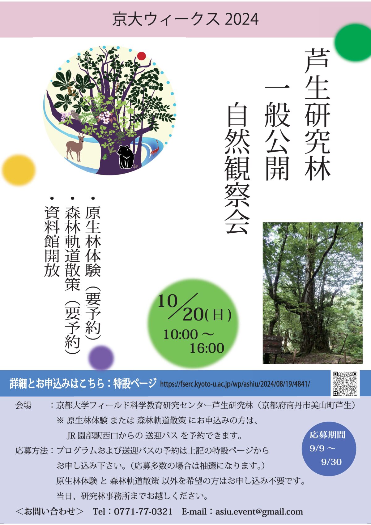 芦生研究林一般公開 自然観察会 10月20日開催【京大ウィークス2024】