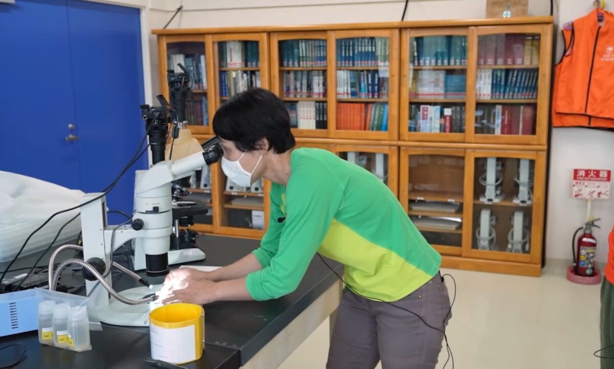 新人紹介  河村 真理子