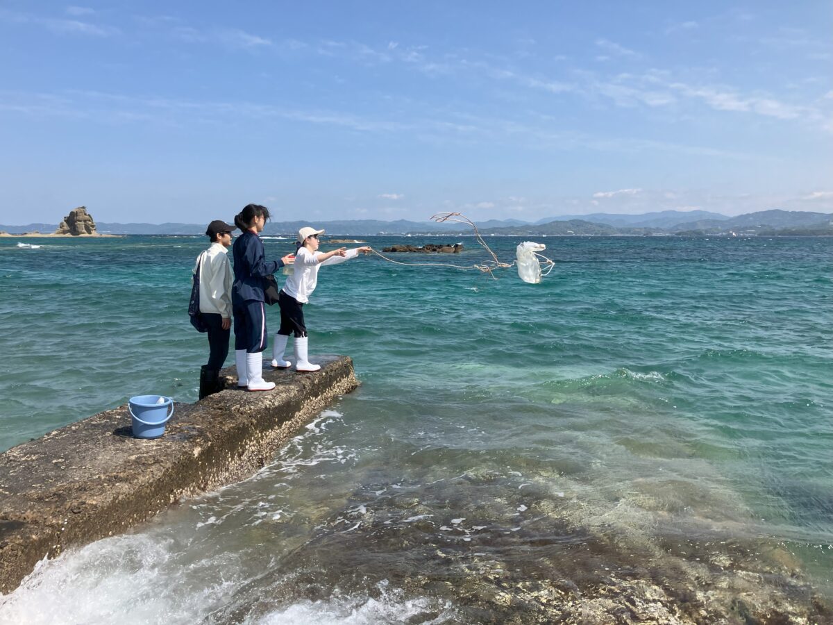 実習報告2025 ILASセミナー 「窒素・炭素安定同位体比から見る海洋生物の共生関係」