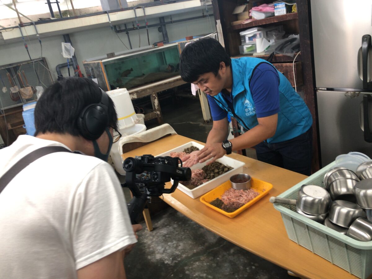 京都大学専門職（技術）[電気,機械,化学,農学,林学,生物・生命科学]のうち1名 公募(2025年度)
