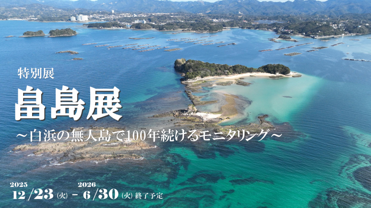 白浜水族館企画展「畠島展 〜白浜の無人島で100年続けるモニタリング～」（12月23日から6月30日まで）