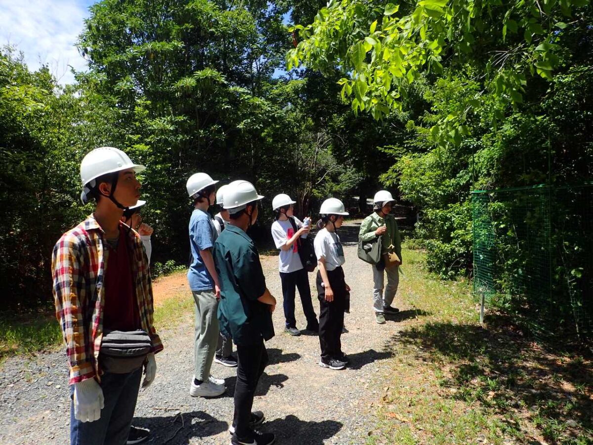 実習報告2024 ILASセミナー 「木文化再生－森林から都市へ」