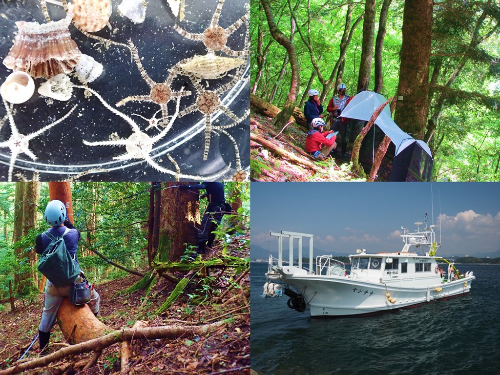 京都大学専門職（技術）5名の公募(2026年度)