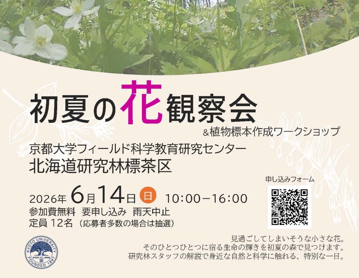 北海道研究林標茶区「初夏の花観察会」2026