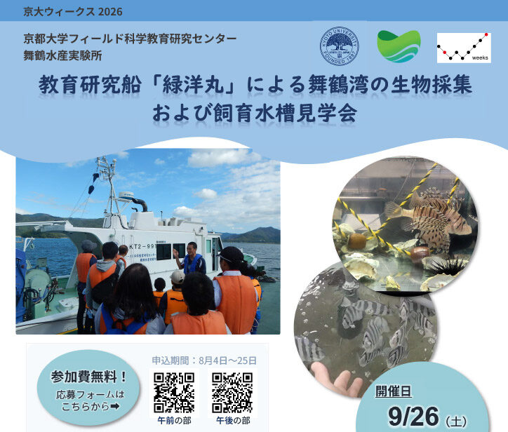 舞鶴水産実験所 教育研究船「緑洋丸」による舞鶴湾の生物採集および飼育水槽見学会 9月26日開催【京大ウィークス2026】