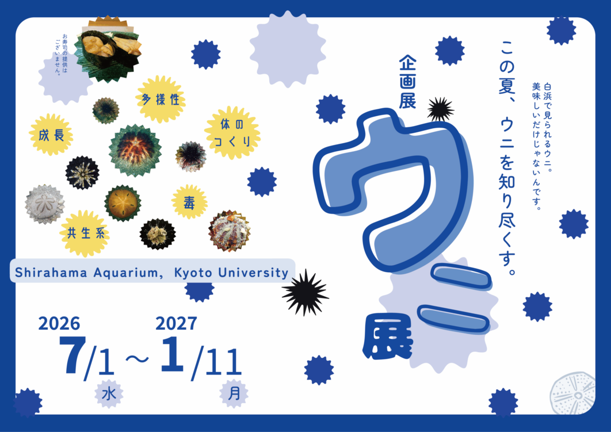 白浜水族館企画展「ウニ展 〜この夏、ウニを知り尽くす～」（7月1日～1月11日開催）