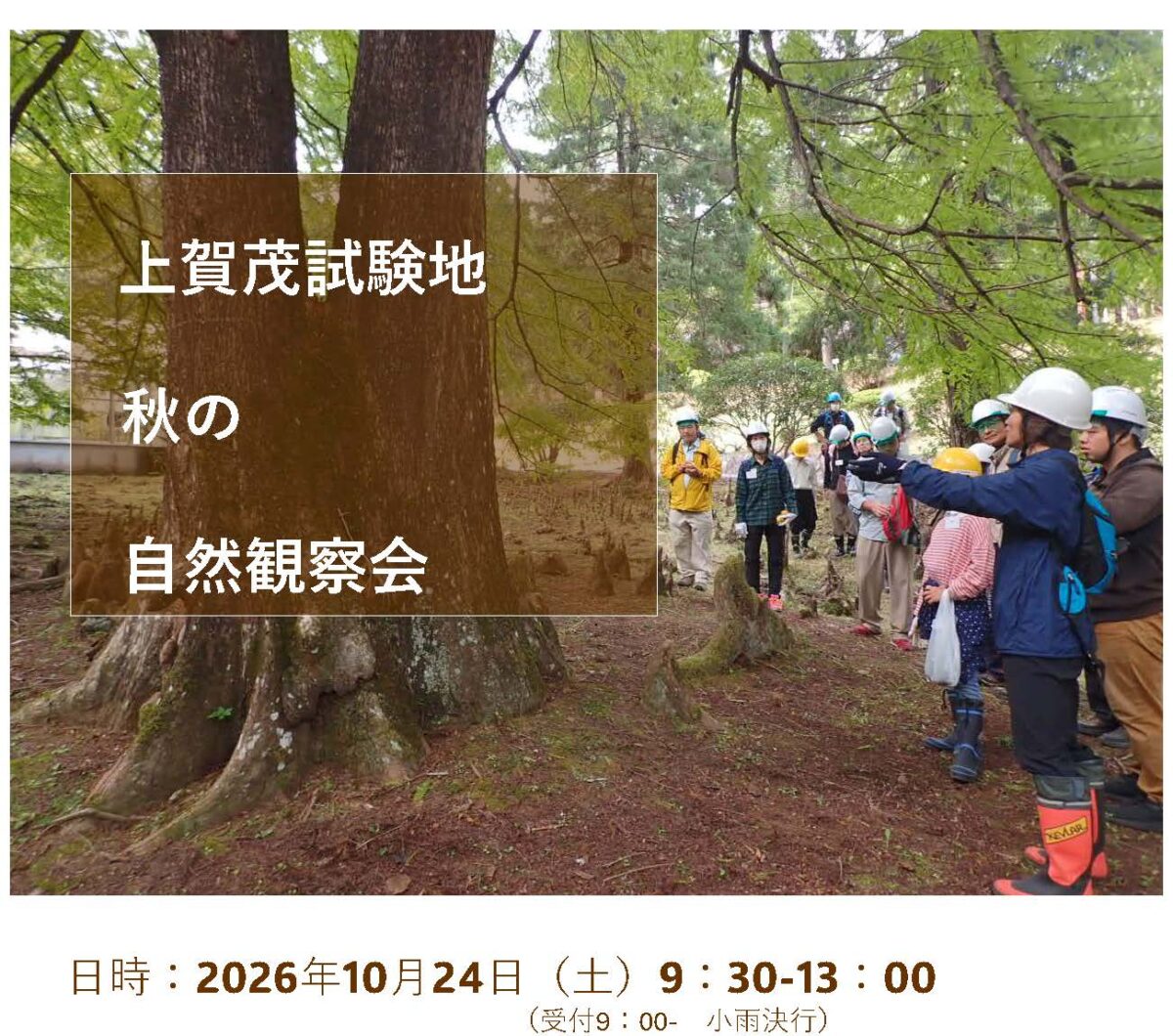上賀茂試験地 秋の自然観察会 10月24日開催【京大ウィークス2026】