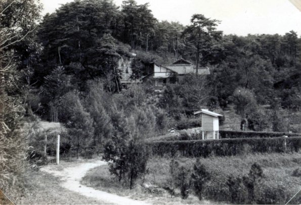 徳山試験地見本林と事務所 1957年頃