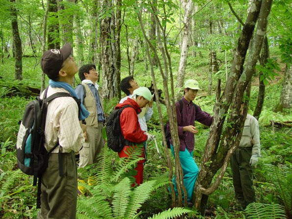 2.白糠区固定標準地調査