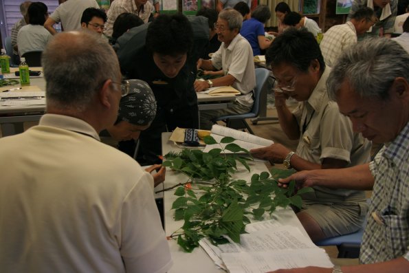 2009asiu2