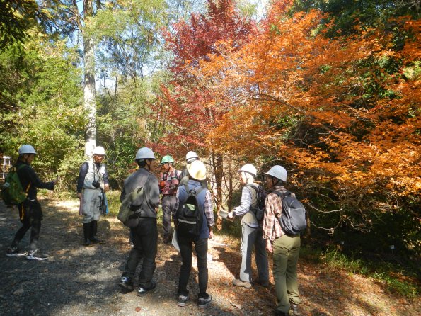 weeks2018_kamigamo3