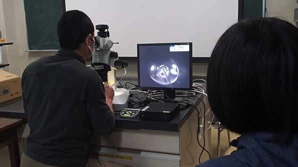 学生実習 (6) 耳石解析1