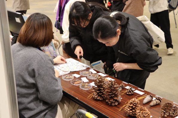 IMG_6605_tenji_A