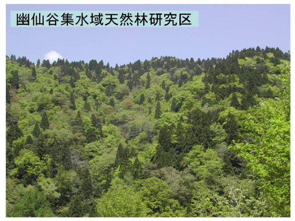 tnakas_201204_08