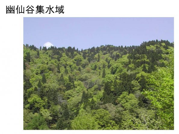 tnakas_201206_08