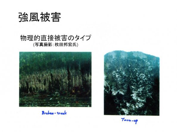 tnakas_201206_16