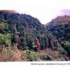 tnakas_201206_18