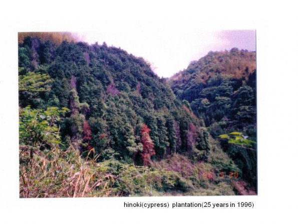 tnakas_201206_18