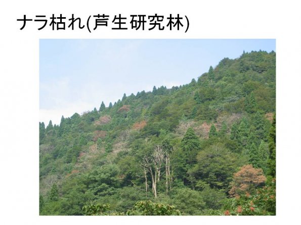 tnakas_201206_19