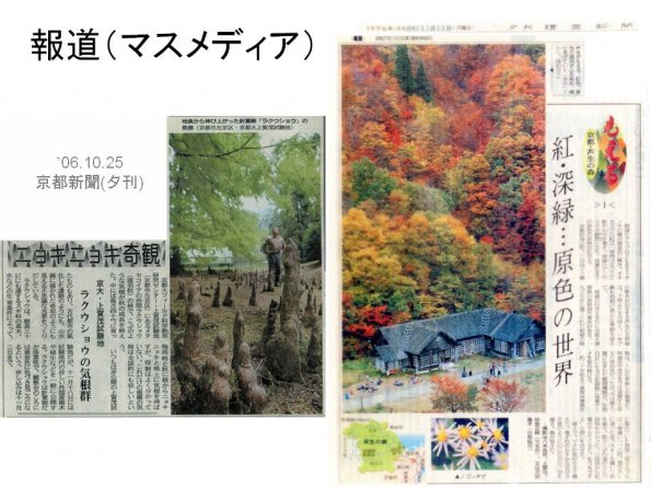 tnakas_201206_21