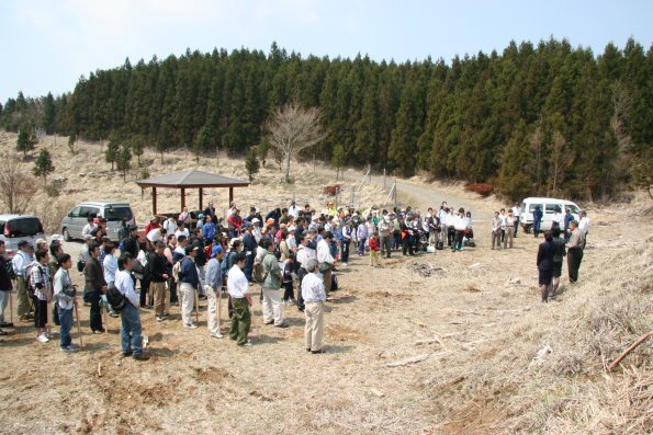 nen2005_37_2