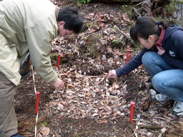 nen2006_22_1