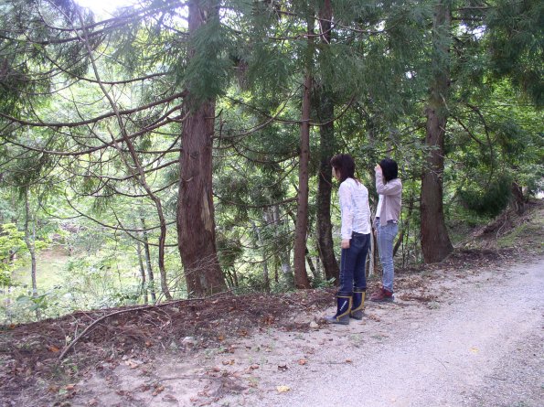 nen2006_23_1