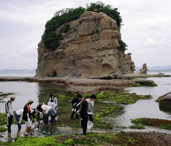 nen2009_1_1_10_5_a