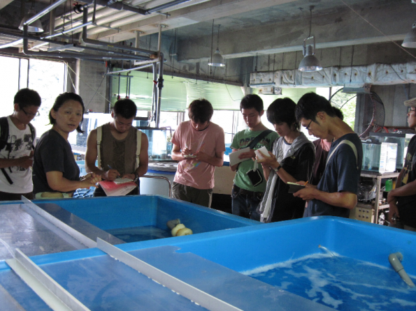 nen2010_1_1_10_1_b