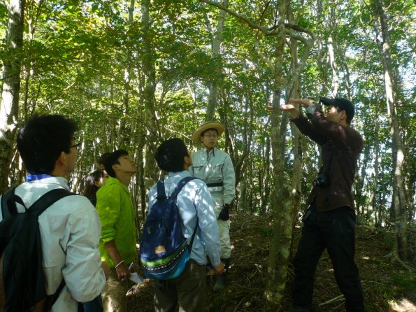 nen2012_1_2_3_10_d