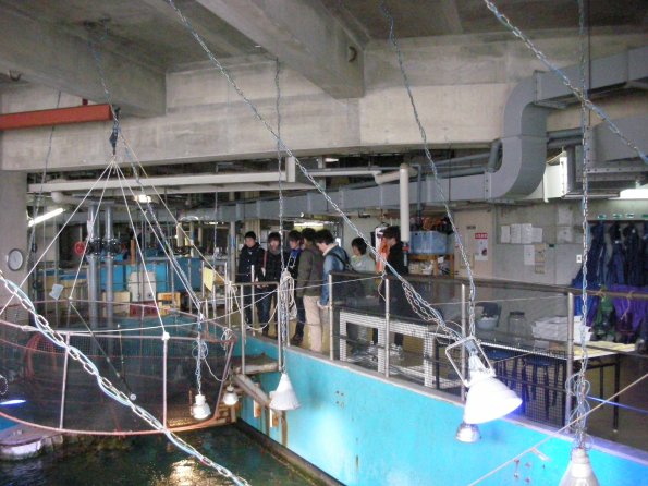 nen2012_1_2_3_14_c